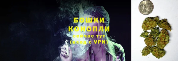 СК Дмитровск