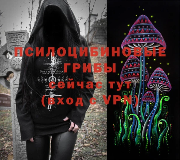 СК Дмитровск