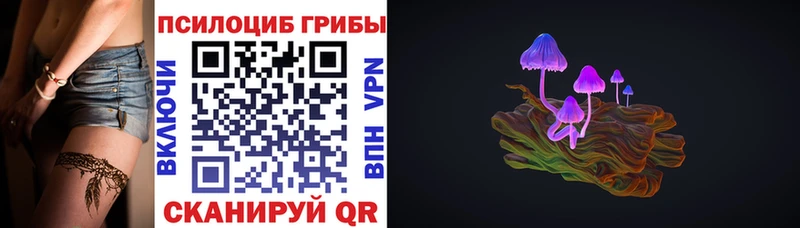 дарнет шоп  Октябрьск  Псилоцибиновые грибы Psilocybine cubensis 